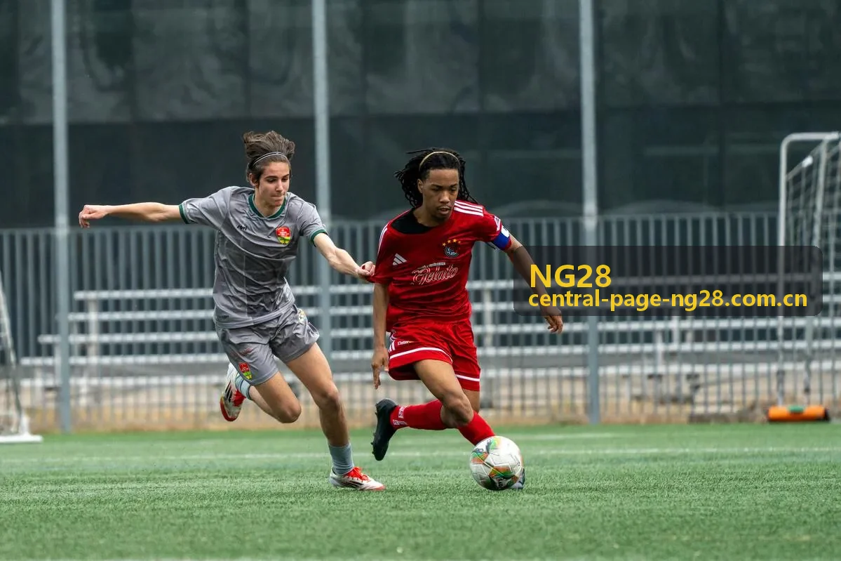 NG28历史数据查询表封面